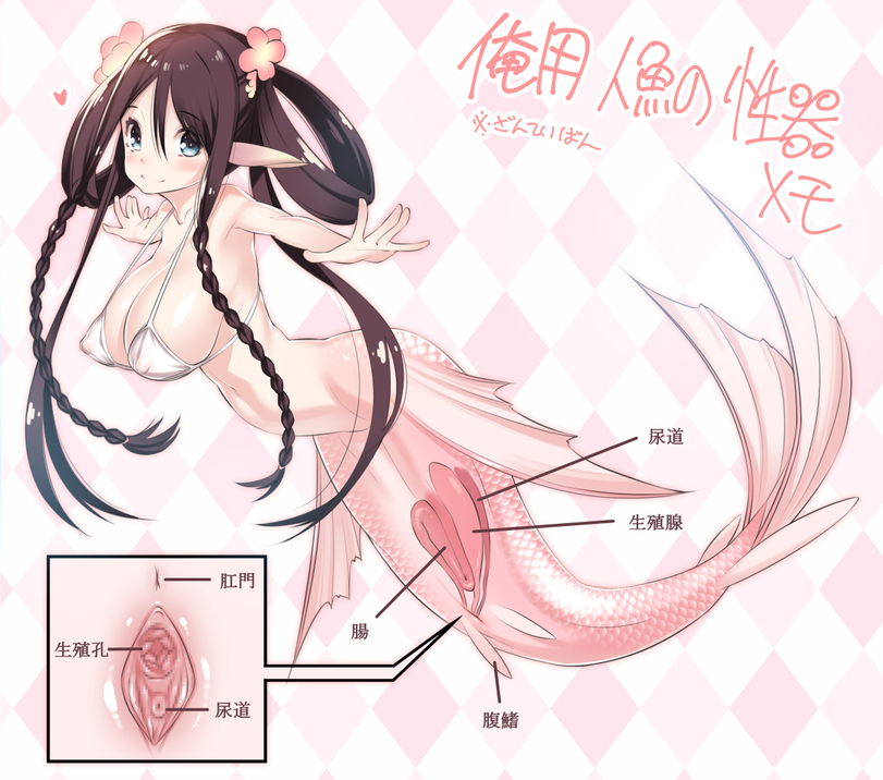 4cfd3d59-5f9d-47c6-b9e1-1cc4c43d7341-0-1743377836347.jpeg