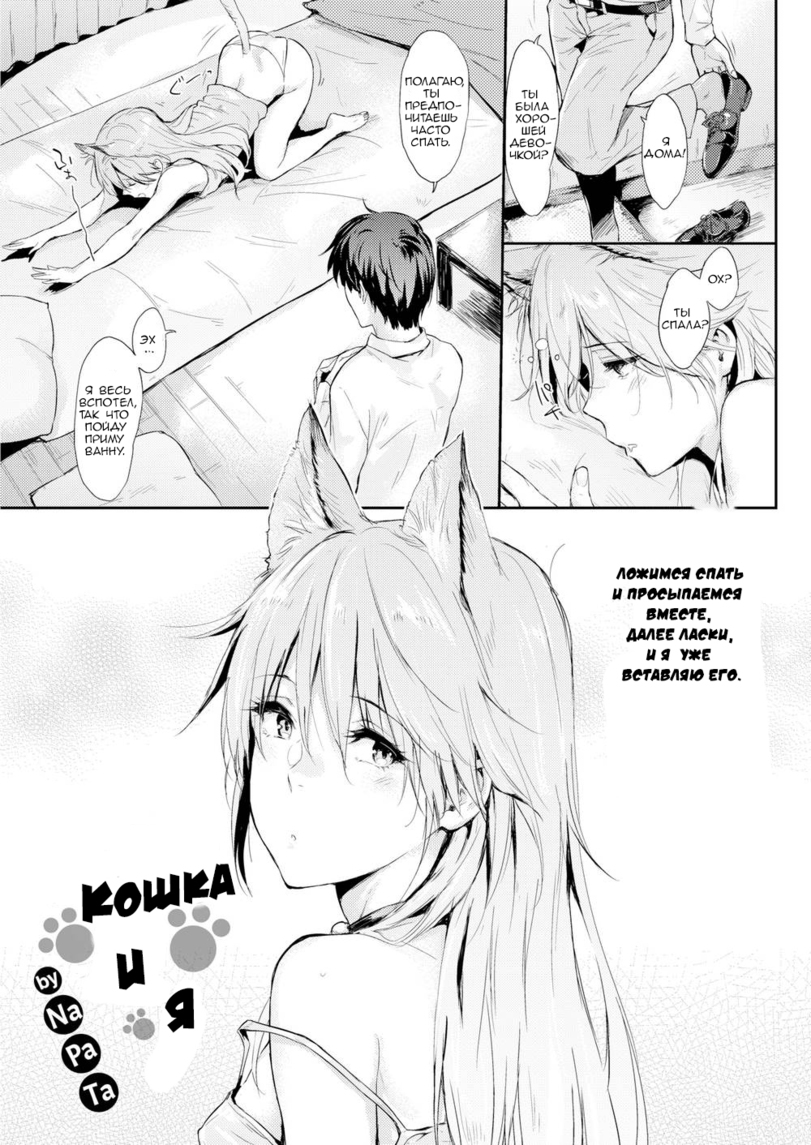 NaPaTa