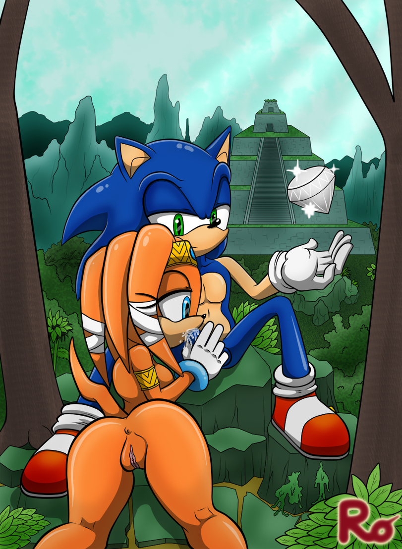 Sonic Sonic porn r34 Sonic the hedgehog Tikal the echidna